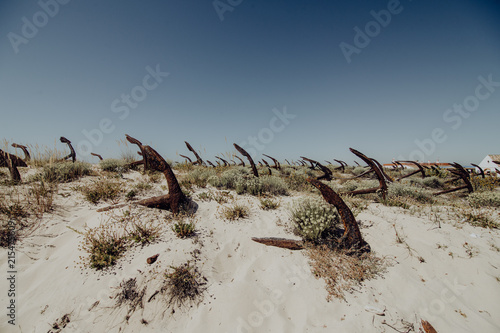 The old Anchor cemetery at the Barril beach in Tavira Algarve region Portugal photo
