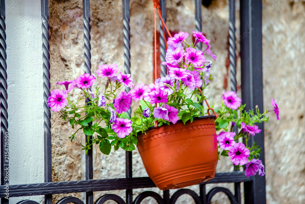 Fototapeta premium Flowerpot with flowers is on the street of the ancient city 