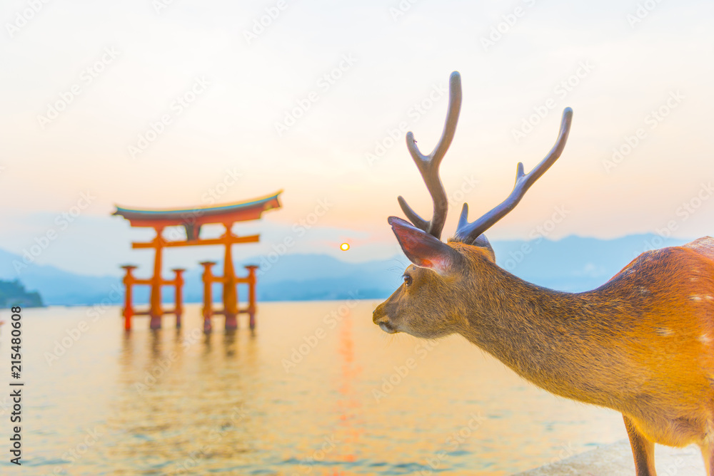 Obraz premium 広島 宮島の風景