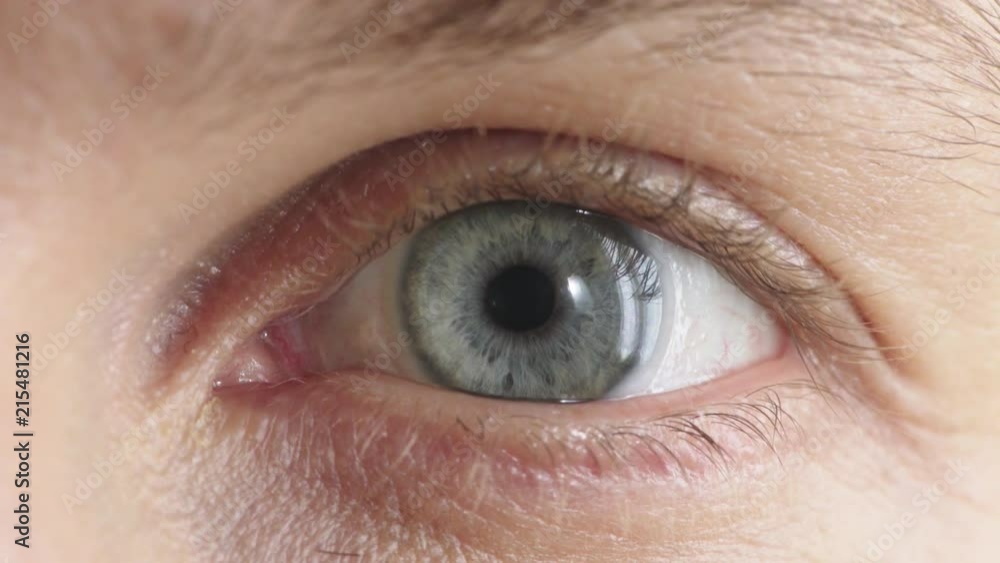 close up beautiful blue eye opening blinking looking at camera awake eyesight vision