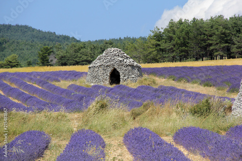 paysage provençal