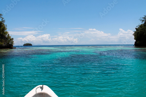 beautiful reef near Kadidiri island in Togian island archipelago photo