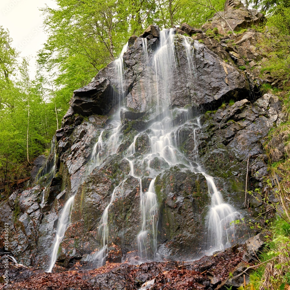 Radau Wasserfall bei Bad Harzburg im Nationalpark Harz Stock Foto