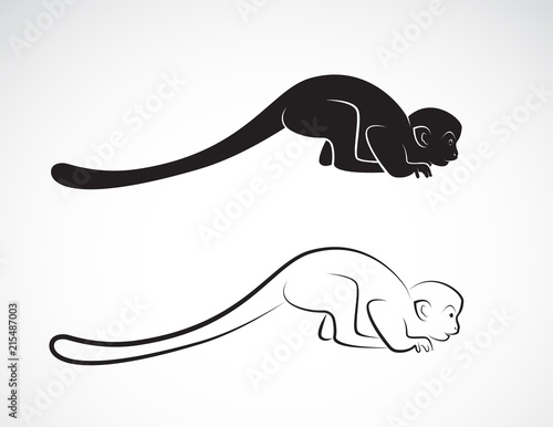 Vector of squirrel monkey design on a white background,. Wild Animals,.  Easy editable layered vector illustration.
