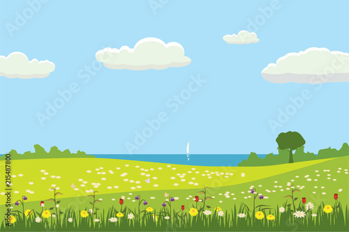A rural cute landscape  a beautiful view  fields of meadows  flowering flowers. Cartoon style  vector  isolated