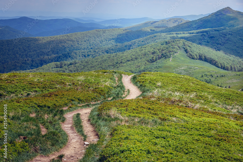 Fototapeta premium Wetlina hiking trail in Bieszczady National Park in Poland