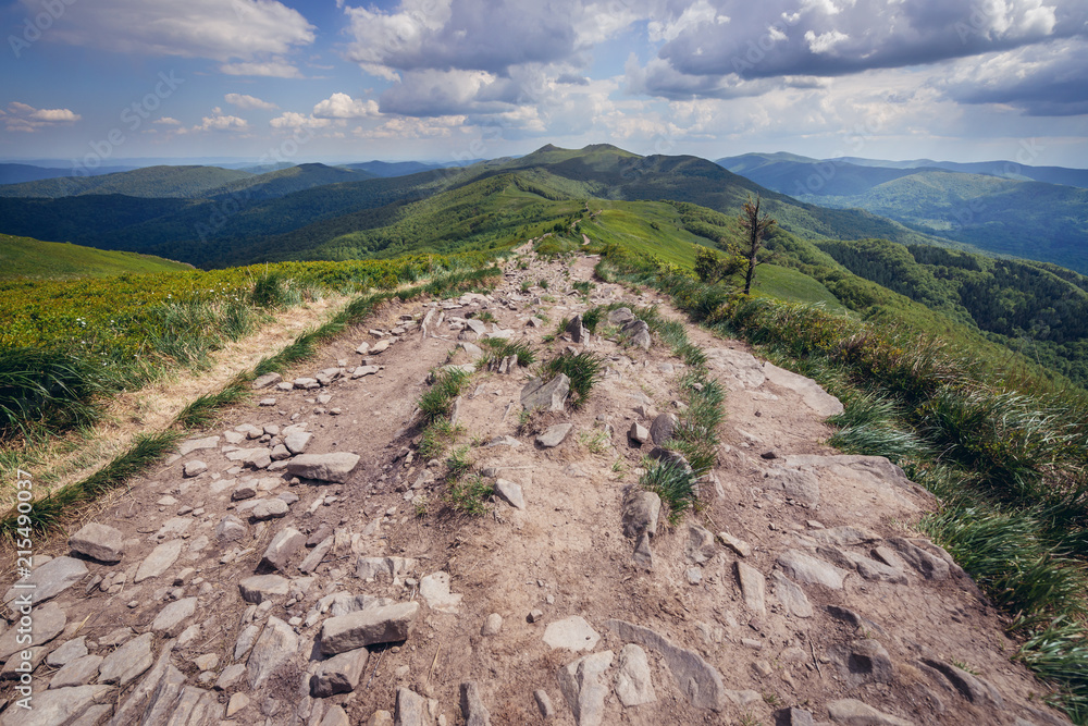 Obraz premium Hiking trail from Smerek Peak in Bieszczady National Park, Poland
