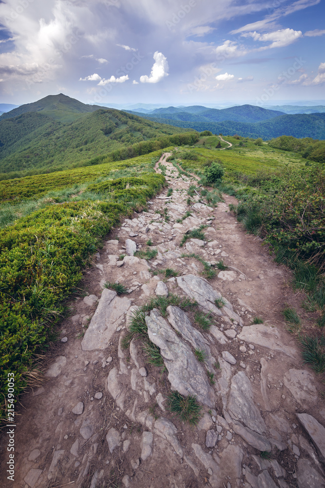 Obraz premium Wetlina hiking trail and Smerek mountain in Bieszczady National Park, Subcarpathian Voivodeship of Poland