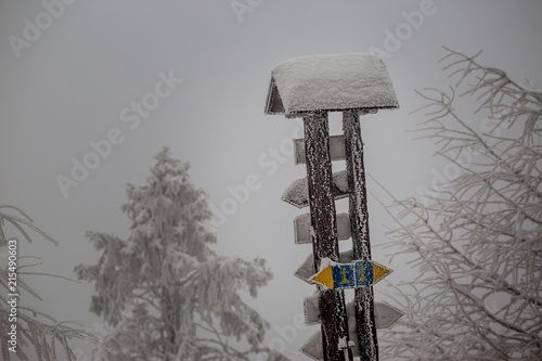Fototapeta Naklejka Na Ścianę i Meble -  Zamarznięty znak na szlaku górskim w beskidach