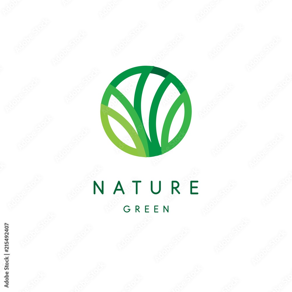 Nature logo, green tropical leaves icon, line stylized, round emblem, modern design, tree foliage logotype template