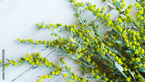 Beautiful blooming wormwood on wooden background.