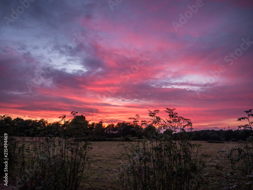 dawn