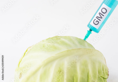 Cabbage on a white background into which gmo and nitrates are injected from the syringe, close-up, genetically modified organism, cole photo