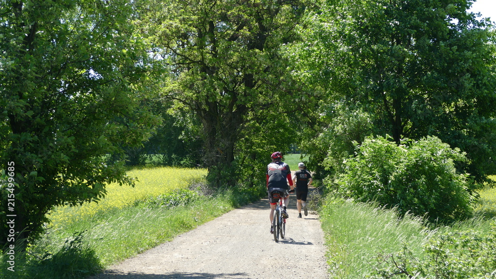 Fototapeta premium Rowerowa wycieczka za miasto.