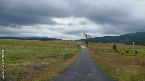 Fototapeta Naklejka Na Ścianę i Meble -  Dolina izerska. Polski biegun zimna. Lato. Europa. Brzoza karłowata