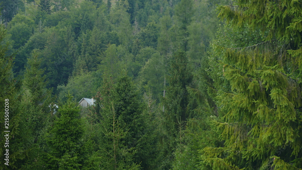 Widok z Przełęczy Przysłop w górach Beskidzie Żywieckim. Widoczny samotny dom w górach na Słowacji Miejsce Słowacja na granicy z Polską. Europa. Widok z Przełęczy Przysłop w górach Beskidzie Żywieckim. Widoczny samotny dom w górach na Słowacji Miejsce Słowacja na granicy z Polską. Europa.