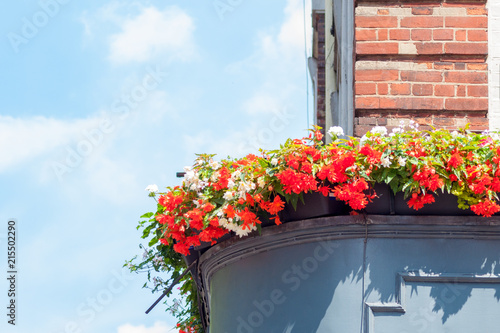 A corner of building with natural flowers above