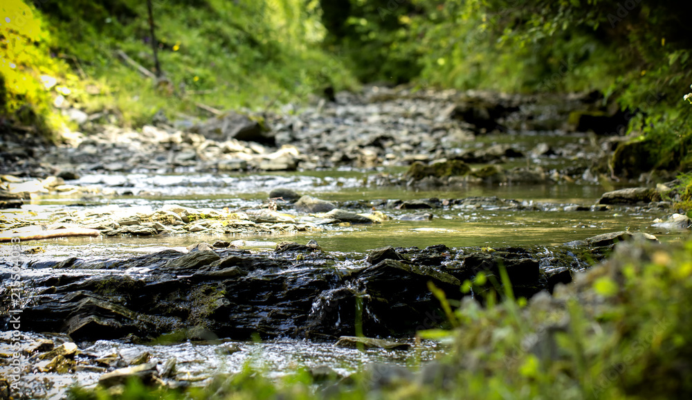 Mountain stream with stony bottom and green shores in the Ukrainian Carpathians Mountain stream with stony bottom and green shores in the Ukrainian Carpathians