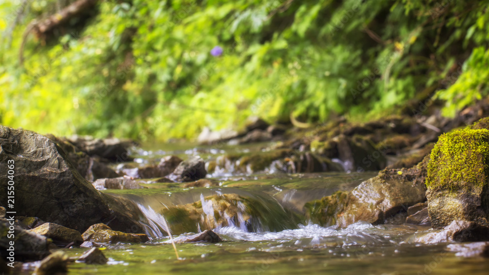 Mountain stream with stony bottom and green shores in the Ukrainian Carpathians Mountain stream with stony bottom and green shores in the Ukrainian Carpathians