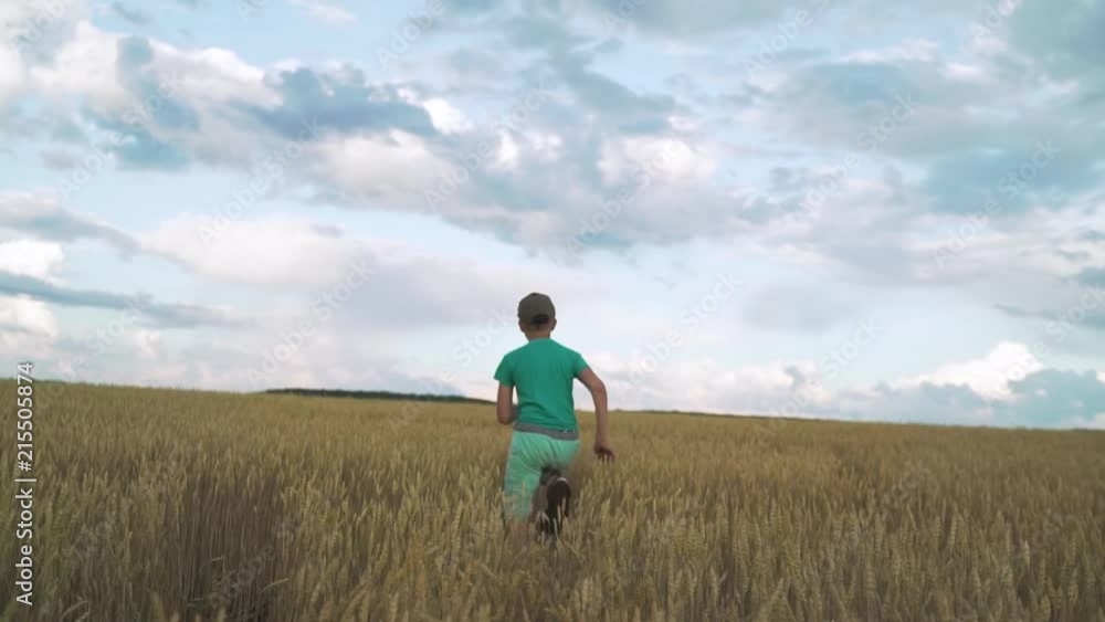 Carefree little boy run across high golden grass. A boy runs across the field with wheat. The boy runs along the wheat field against the beautiful sky. Carefree little boy run across high golden grass. A boy runs across the field with wheat. The boy runs along the wheat field against the beautiful sky.
