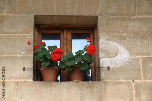 Window with stone wall and pot with flowers