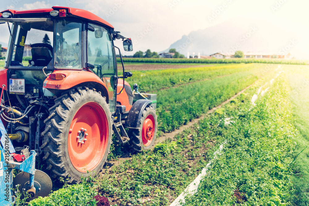 Naklejka premium Traktor auf Acker, Landwirtschaft, blauer Himmel