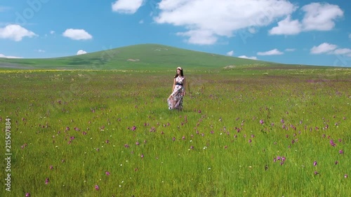 Young beautiful happy woman staying in meadow long dress fluttering on the wind. Pretty smilind girl in flower wreath enjoying nature landscape. Tripod video photo