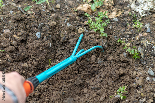 Kleine blaue Harke in einer Männerhand im Einsatz