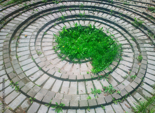 Spiral brick laying in park with some grass in center background photo