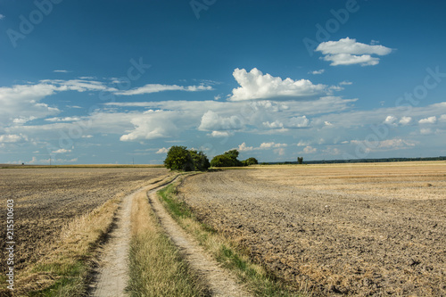 Country road through plowed fields and clouds in the sky