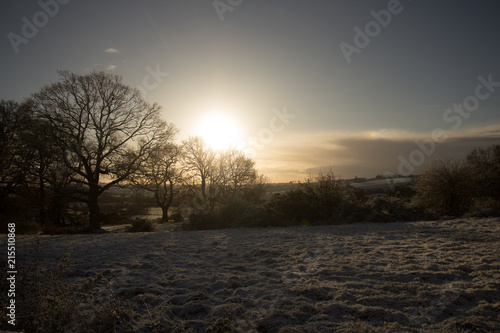 View over fields