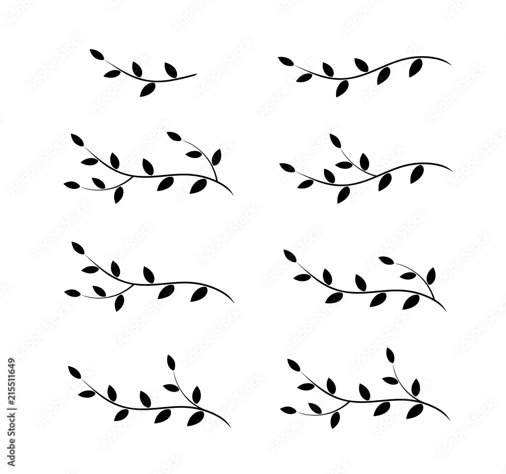 Obraz premium isolated tree branches with leaves