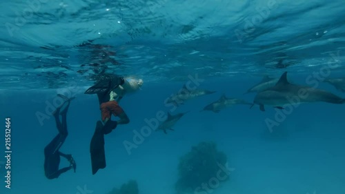Wallpaper Mural Group of tourists look at a pod of Dolphins (Spinner Dolphin, Stenella longirostris) Underwater view, Close-up, Underwater shot, 4K / 60fps
 Torontodigital.ca