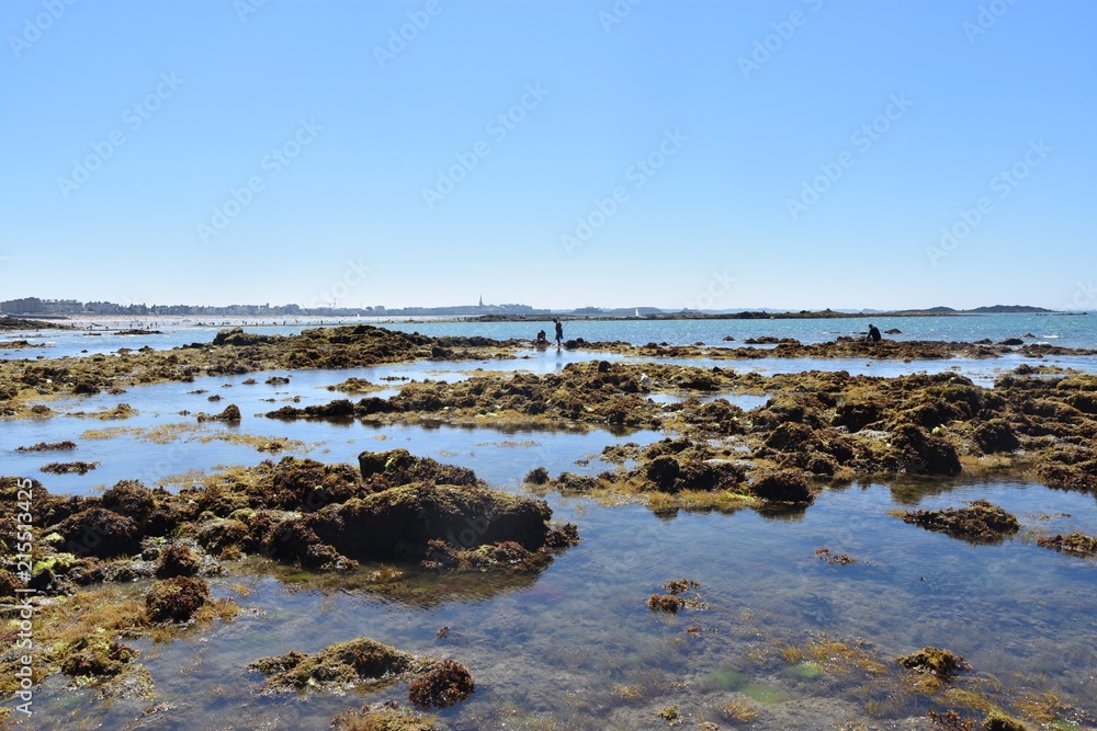 saint-malo, pêche à pied