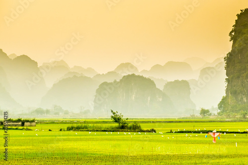 Beautiful landscape of rice fields near to Tam Coc, Ninh Binh in Vietnam photo