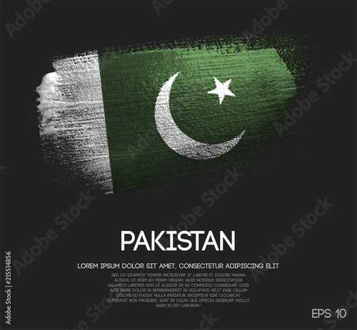 Pakistan Flag Made of Glitter Sparkle Brush Paint Vector