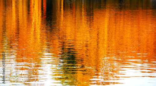 Blurry reflection of autumn trees in lake water. Abstract background.