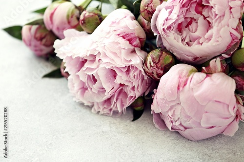     Peony. Close up from beutiful pink peony overhead gray concrete backgroun