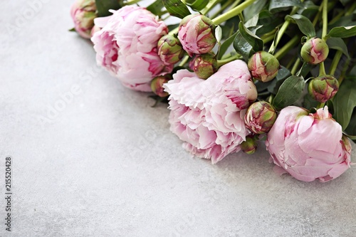 Peony. Close up from beutiful pink peony overhead gray concrete background photo