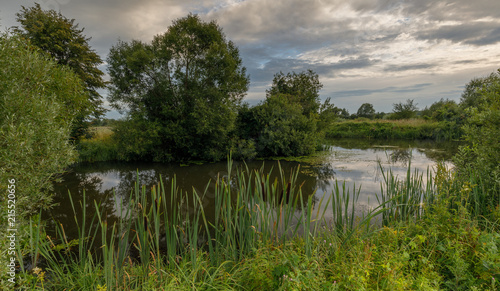 Landscape. Summer evening on the river.