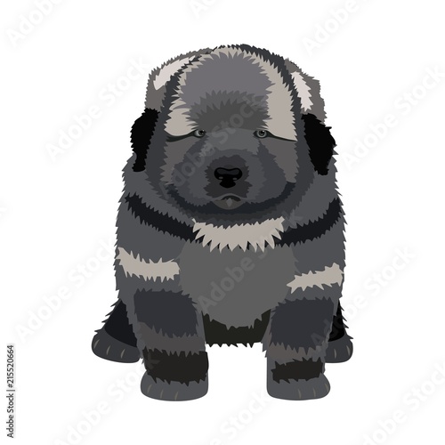 Puppy breed shepherd, vector 
