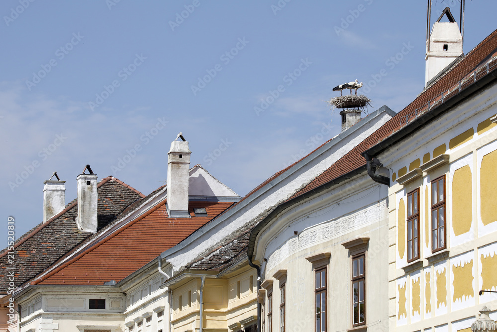 Hausdach mit Storchennest