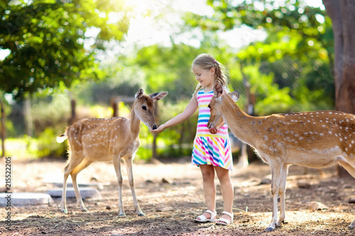 Child feeding wild deer at zoo. Kids feed animals.
