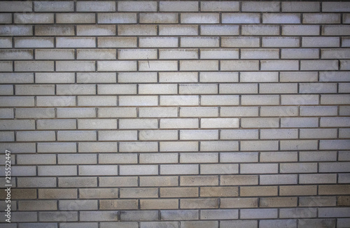 White brick texture