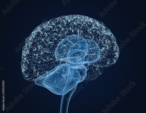 Quadro su tela Human brain X-ray scan , Medically accurate 3D illustration