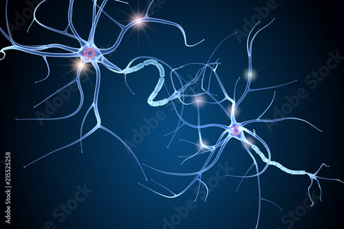 Nerve cell anatomy in details. 3D illustration photo