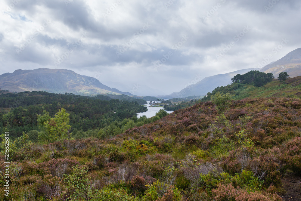 Glen Affric