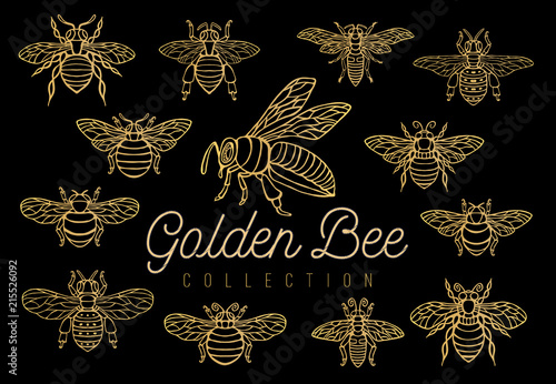 Honey bee bumblebees wasps set sketch style collection insert wings emblem symbols