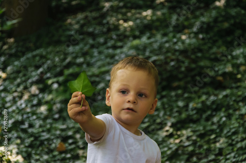 a boy in a white T-shirt, holds a green leaf in the park