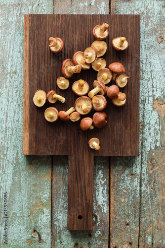 Wild forest mushrooms. Suillus luteus or Slipery Jack mushrooms on oak cutting board copyspace